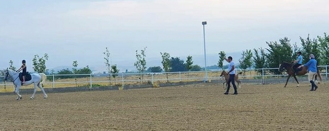 آموزش اسب سواری کودکان شیراز | باشگاه اسب سواری ماهان